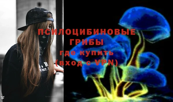 сатива Аркадак
