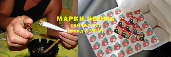 сатива Аркадак