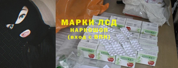 сатива Аркадак