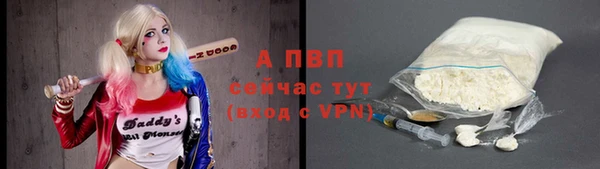 сатива Аркадак