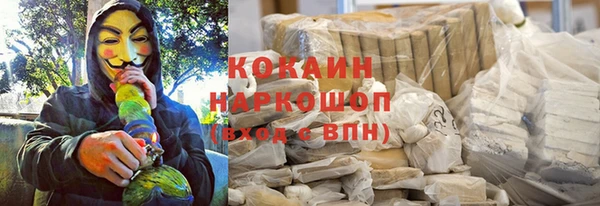сатива Аркадак