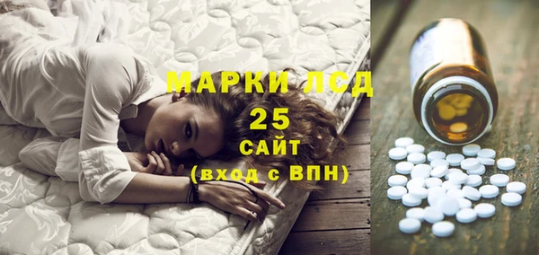 сатива Аркадак