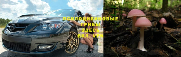 сатива Аркадак