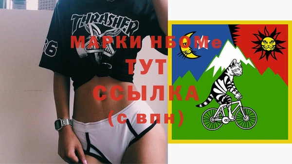 сатива Аркадак
