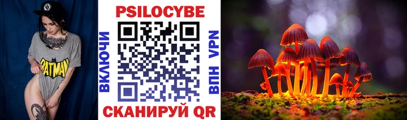 купить закладку  Прохладный  Псилоцибиновые грибы ЛСД 